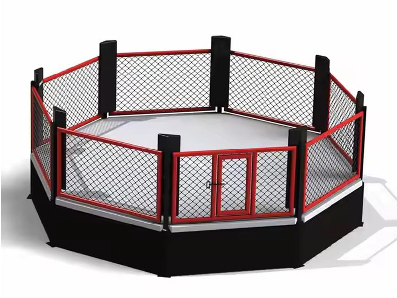 Hvad er der faktisk inde i en MMA Octagon?