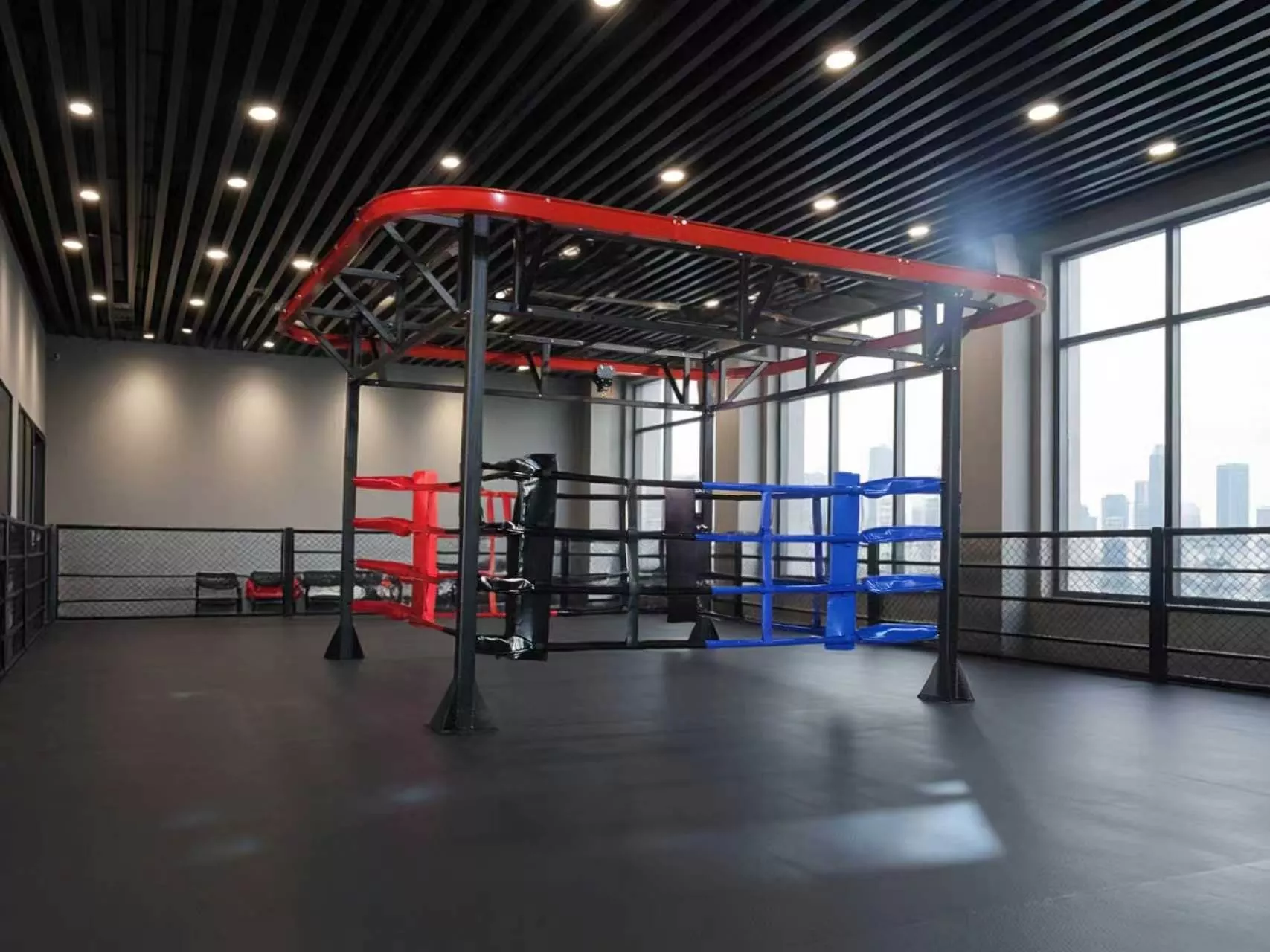 Vil du kombinere ringsparring, tungt taskearbejde og funktionel fitnesstræning på et enkelt stykke udstyr?